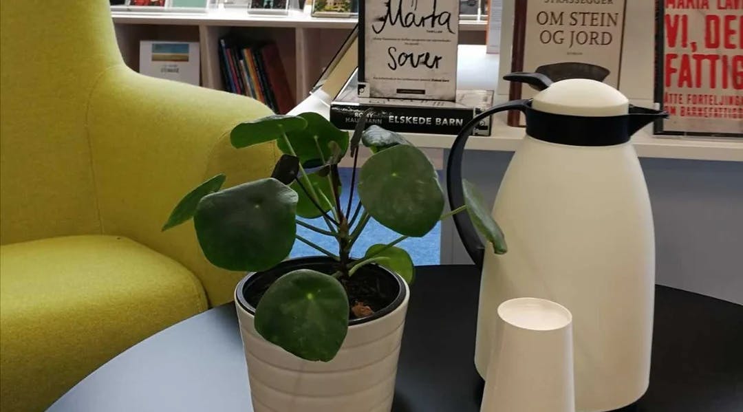 Kaffi, koppar, plante og bøker i biblioteket.