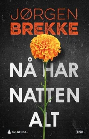 Omslag: "Nå har natten alt : kriminalroman" av Jørgen Brekke