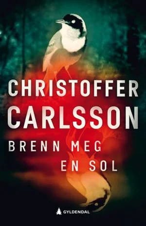 Omslag: "Brenn meg en sol : en roman om en forbrytelse" av Christoffer Carlsson